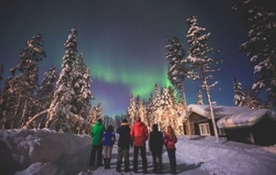 Abisko Auroras