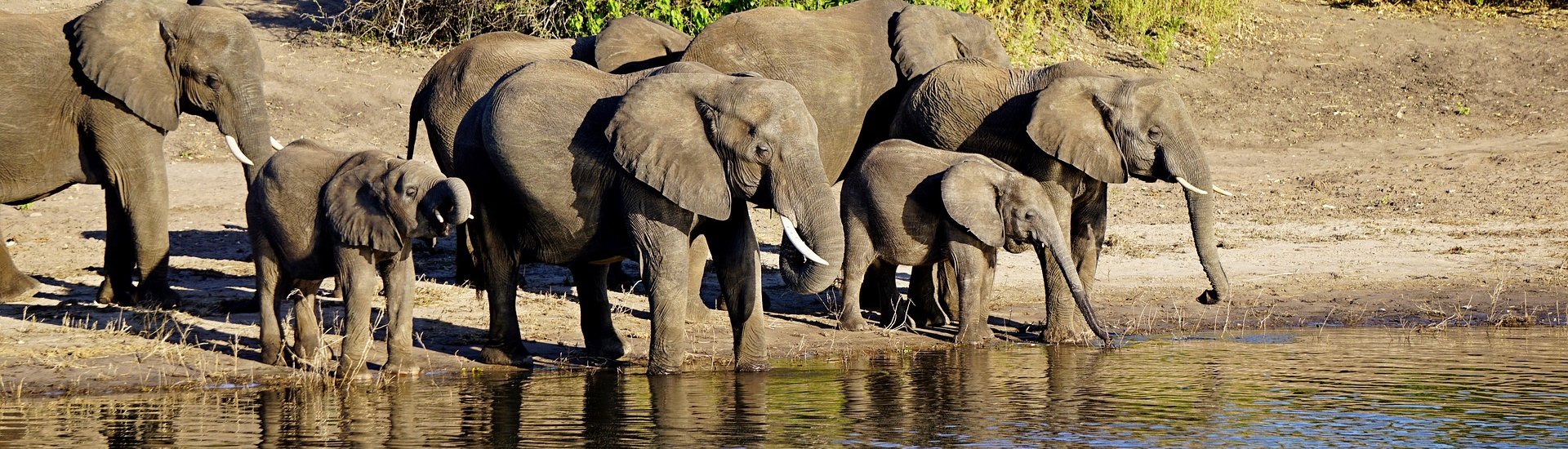 Chobe National Park