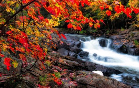 Algonquin