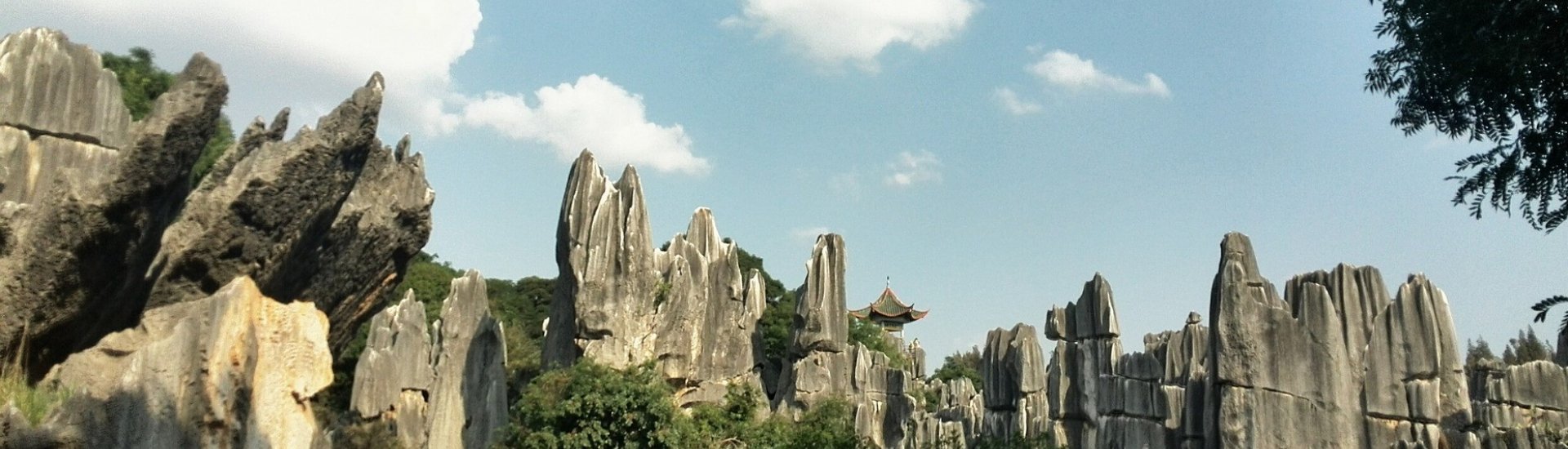 Shi Lin Stone Forest