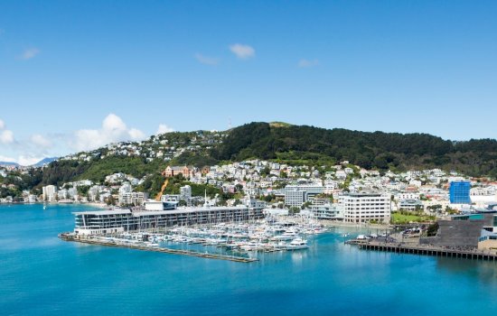Wellington City - Hamish Johnson