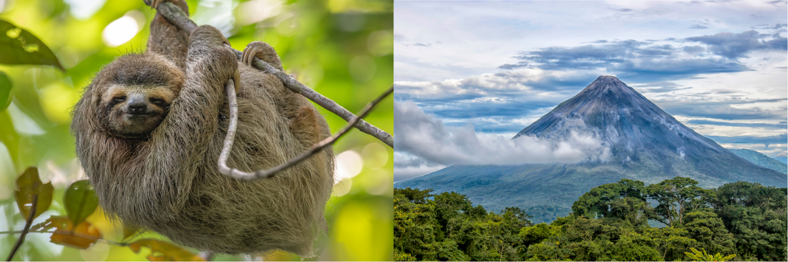 Costa Rica: Sloth & Arenal Volcano
