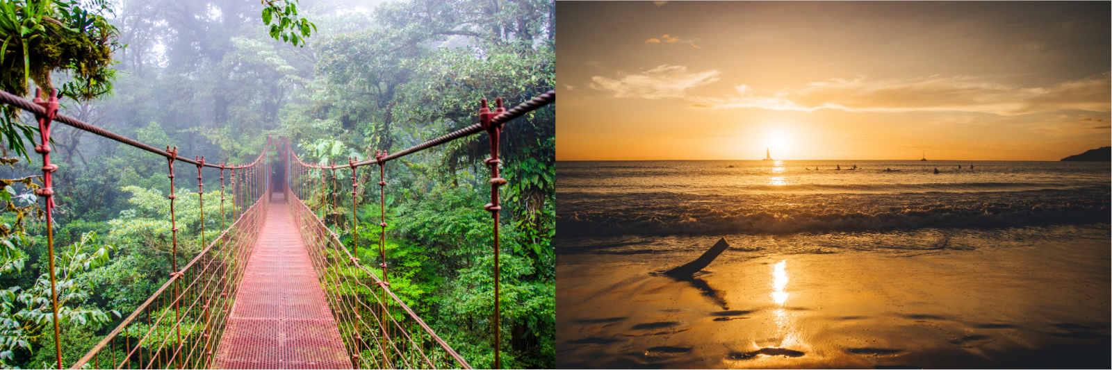 Costa Rica: Bridge in Monteverde Rainforest & Sunset at Tamarindo Beach