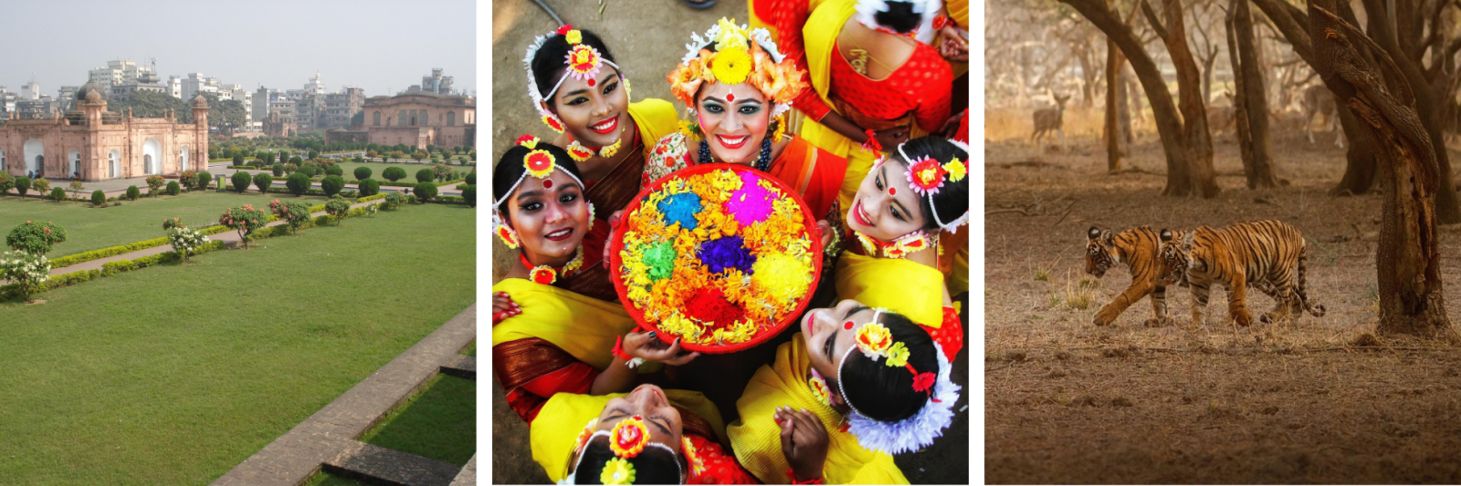 Lalbagh Fort, Bengali Festival, Tigers in the Sundarbans