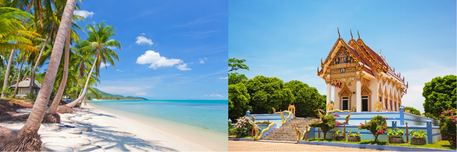 Koh Samui Beach & Temple