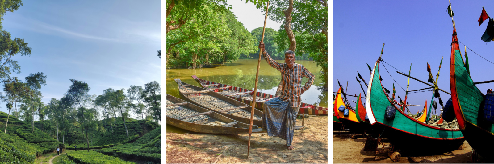 Tea Capital, local boat owner, traditional boats