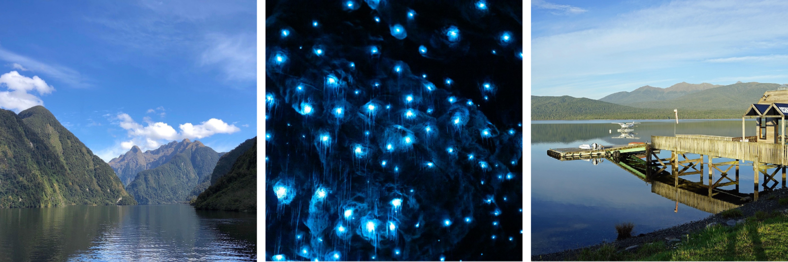 Doubtful Sound, Glowworms, Lake Te Anau