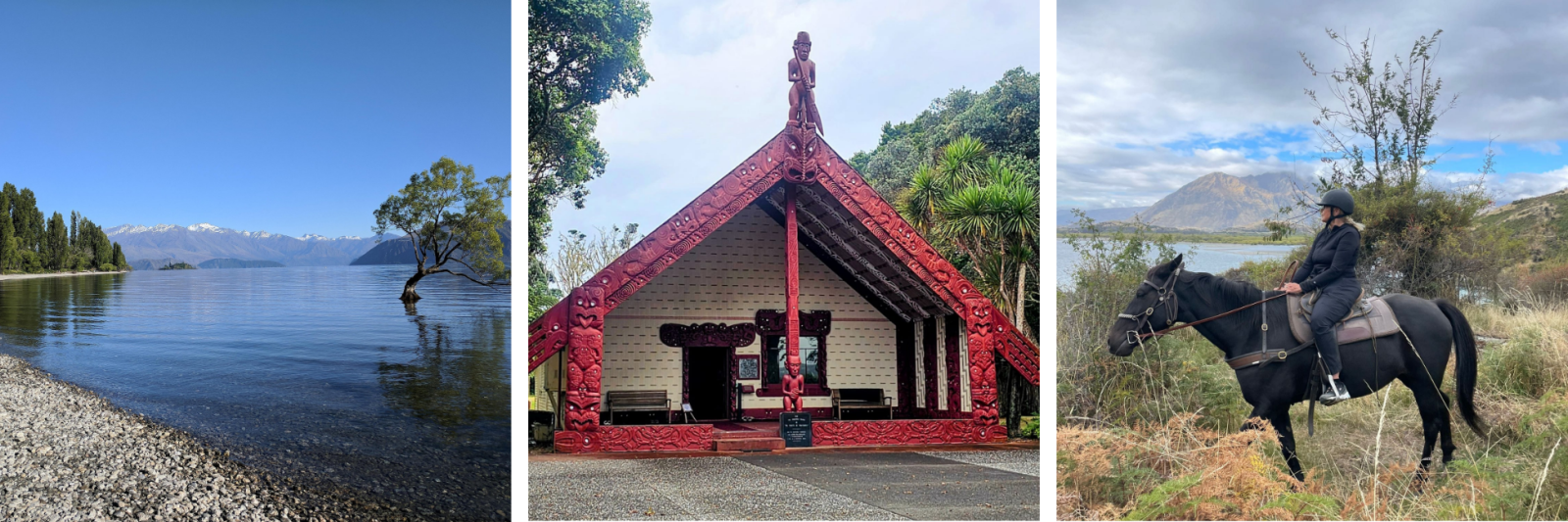Lake Wanaka, Waitangi Treaty Grounds, Horse riding 