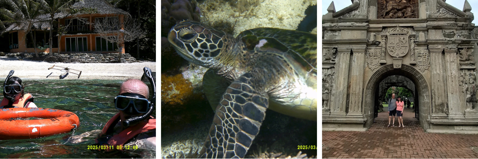 Snorkelling, Turtle, H & C in Manila