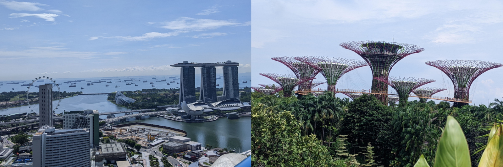 Singapore Marina Bay Sands & the Gardens of the Bay